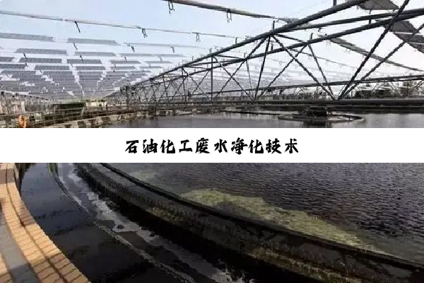 石油化工废水净化技术