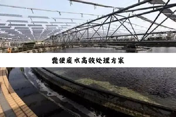 粪便废水高效处理方案